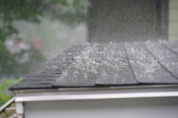 Best Gutter Installation and Repair  in Mount Pleasant, NC