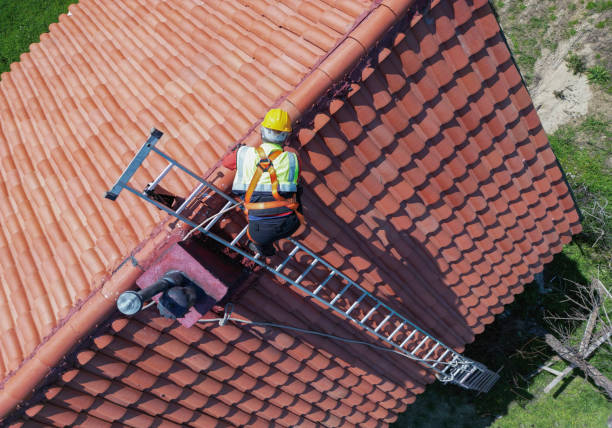 Best Roof Maintenance and Cleaning  in Mount Pleasant, NC