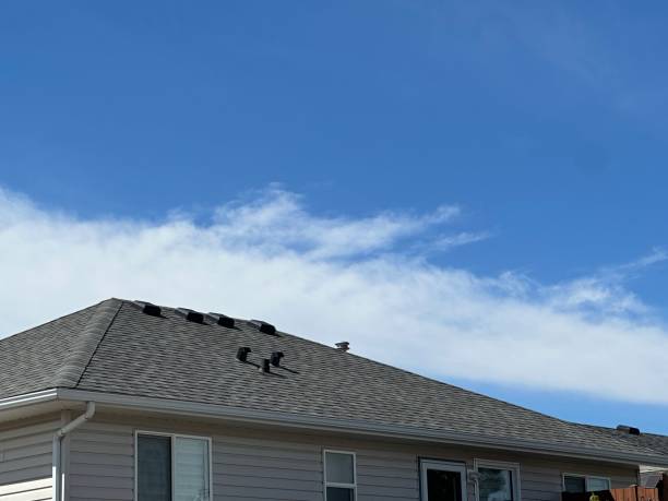 Siding in Mount Pleasant, NC